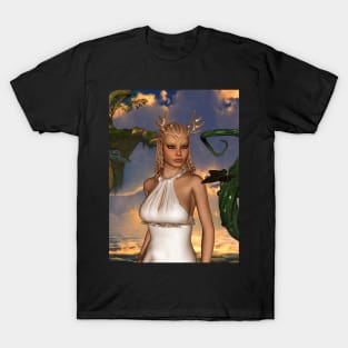 Wonderful fairy in the sunset T-Shirt